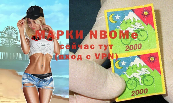МДПВ Осташков