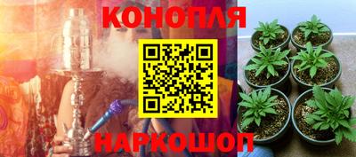 гашишное масло Гай