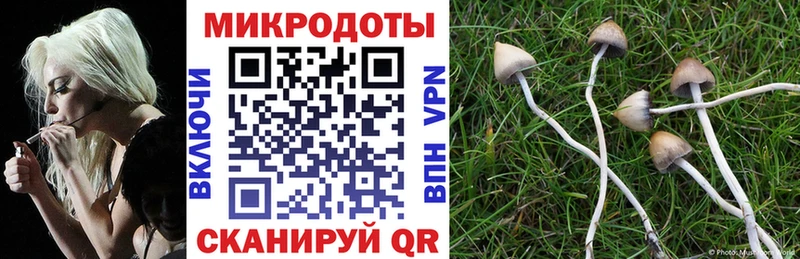 Псилоцибиновые грибы GOLDEN TEACHER  сколько стоит  ссылка на мегу ССЫЛКА  Кимовск 