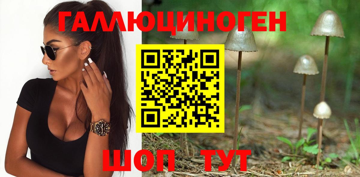 Галлюциногенные грибы MAGIC MUSHROOMS Кимовск