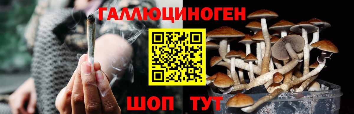 Галлюциногенные грибы Cubensis  Галлюциногенные грибы Magic Shrooms  Вход с VPN  Кимовск 